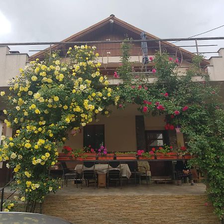 Hotel Casa Delia Călimăneşti Exteriér fotografie