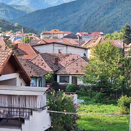 Hotel Casa Delia Călimăneşti Exteriér fotografie