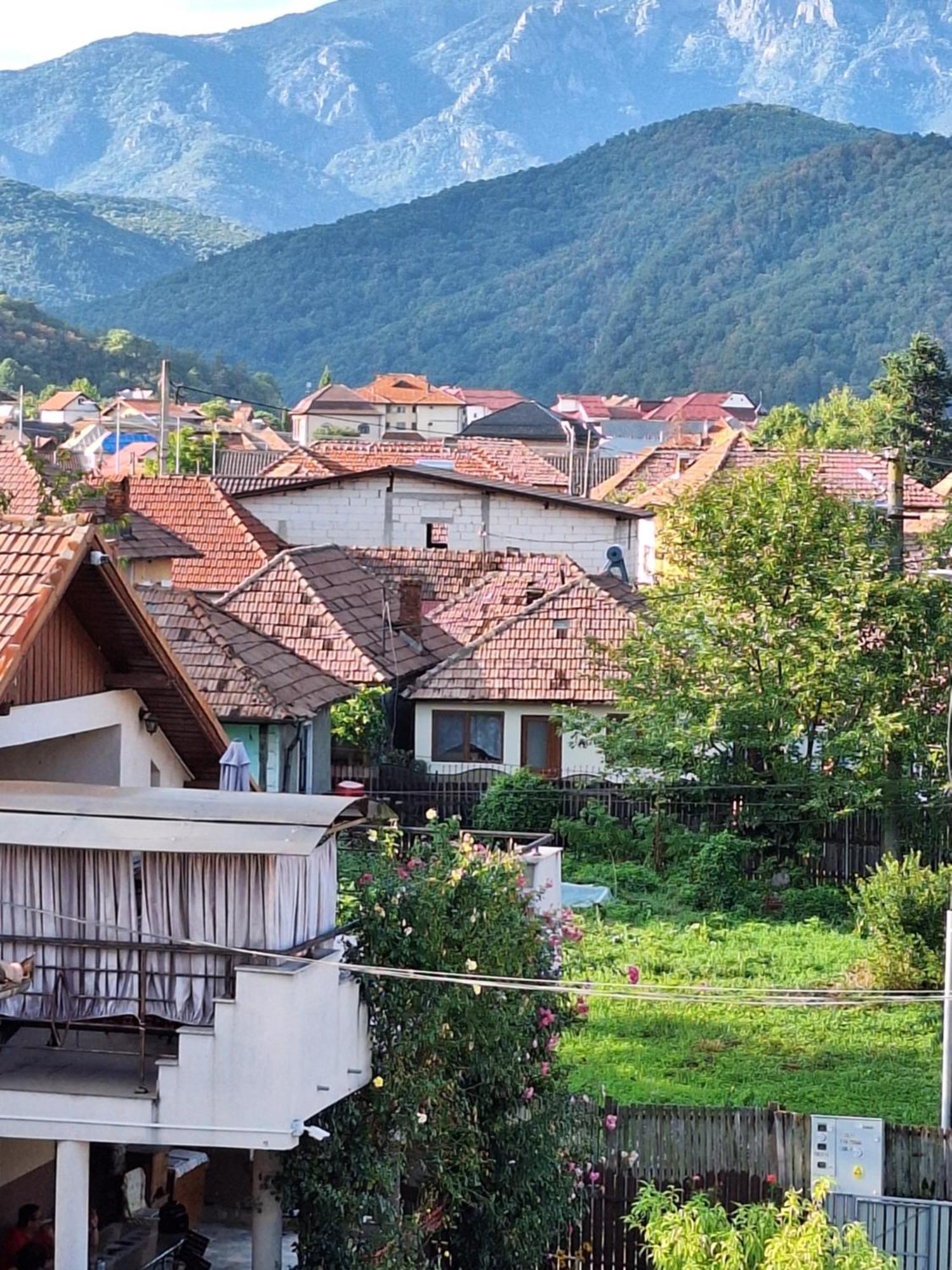 Hotel Casa Delia Călimăneşti Exteriér fotografie