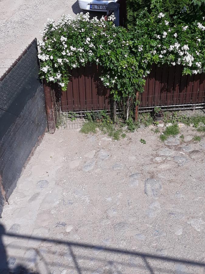 Hotel Casa Delia Călimăneşti Exteriér fotografie